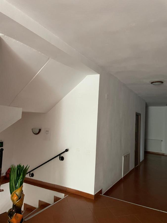 Pensiunea Andora Moieciu de Jos Exterior foto